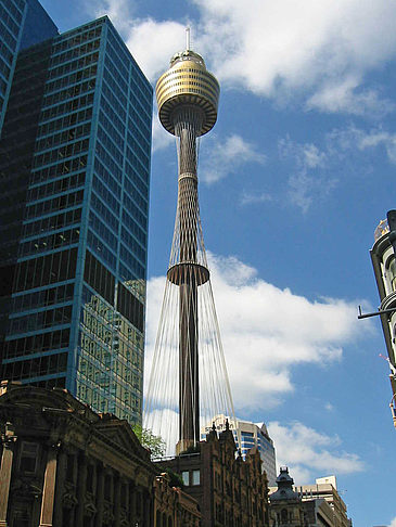 Foto Sydney Tower - Sydney