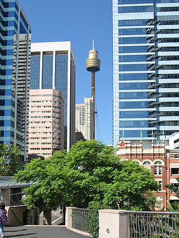 Sydney Tower Fotos