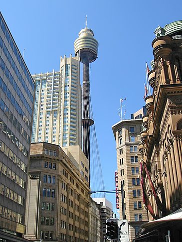 Sydney Tower Fotos