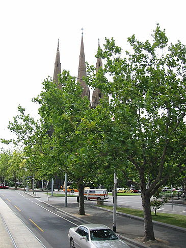 Foto St. Patrick's Cathedral