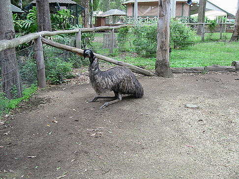 Billabong Wildlife Park Foto 