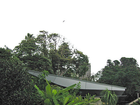 Fotos Botanischer Garten