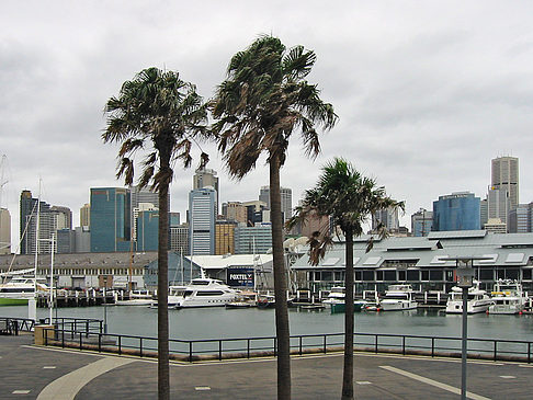 Darling Harbour Foto 