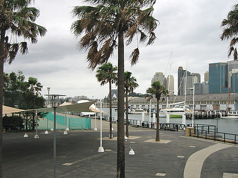 Foto Darling Harbour - Sydney