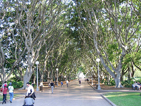 Fotos Hyde Park | Sydney