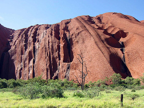 Foto Kata Tjuta und Uluru - 