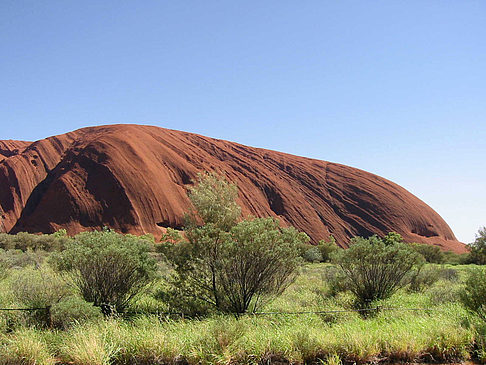 Kata Tjuta und Uluru Foto 