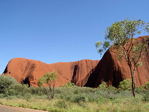 Foto Kata Tjuta und Uluru