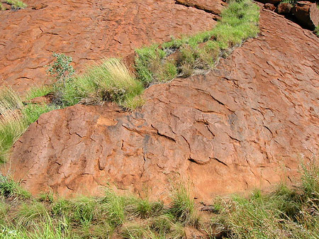 Kata Tjuta und Uluru Foto 