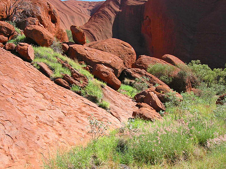 Kata Tjuta und Uluru Foto 