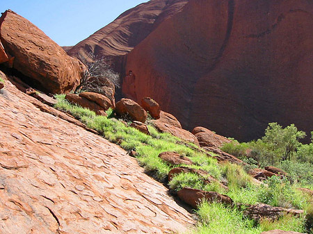 Kata Tjuta und Uluru Foto 