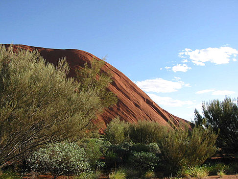 Foto Kata Tjuta und Uluru - 