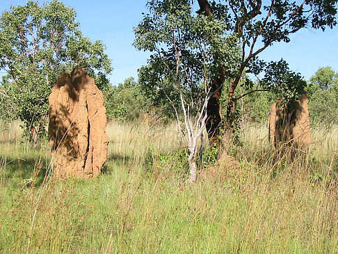 Foto Nationalpark Kakadu - 