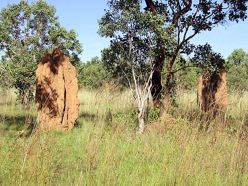 Fotos Nationalpark Kakadu