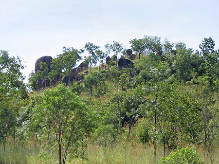 Foto Nationalpark Kakadu - 