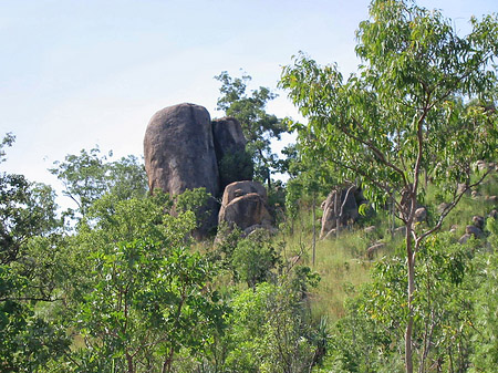 Foto Nationalpark Kakadu