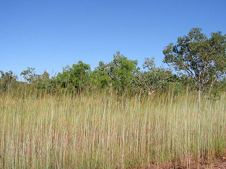 Nationalpark Kakadu Fotos