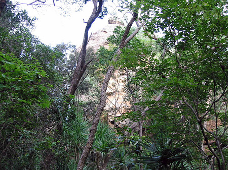 Felsen Foto 