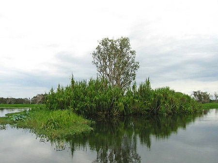 Foto Überschwemmung