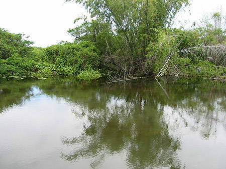 Fotos Überschwemmung