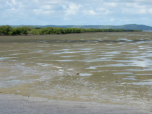 Fraser Island Fotos