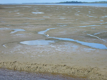 Foto Fraser Island