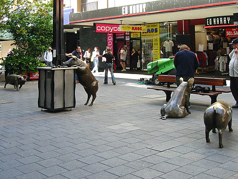 Fotos Statue | Adelaide