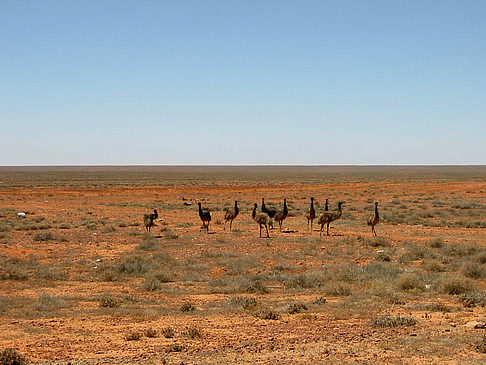 Fotos Coober Pedy | 