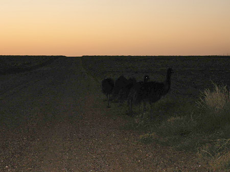 Fotos Straße im Outback | 