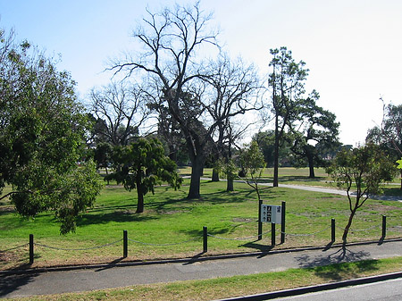 Fotos Park